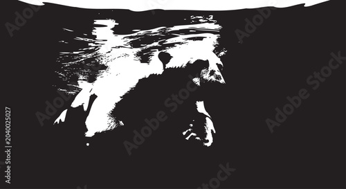 Fotografia Monochrome portrait, abstract face, black background, white silhouette, artistic
