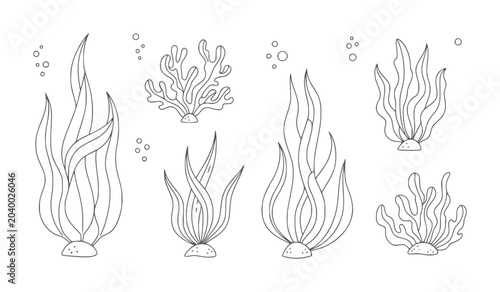 Bild auf Leinwand Hand drawn underwater plants and bubbles simple line seaweed kelp coral ocean