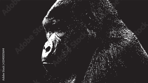 Photography Gorilla portrait, black and white, animal illustration, wildlife art