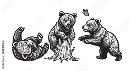 Tableau sur toile Black and white bear illustrations, playful grizzly bear drawings, wildlife vect