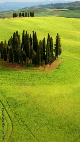 Flying over the beautiful rolling landscape of Tuscany Italy. Vertical video.
