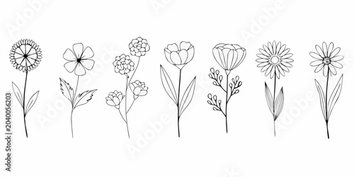 Foto Minimalist Flower Collection Black Line Vector Illustration On White Background