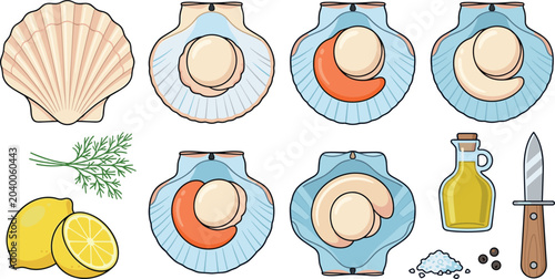 Photos Fresh Raw Scallops Shellfish Vector Illustration Set with Half Shell Shucking Kn