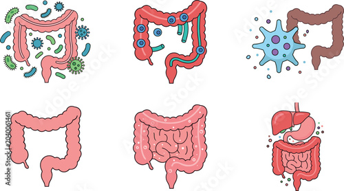 Human Digestive System and Gut Health Collection with Intestines, Microbiome, Bacteria, and Medical Anatomy Vector Illustration Set