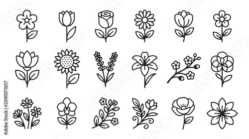 Set of detailed botanical flower and leaf line style icons with botanical sunflower illustration