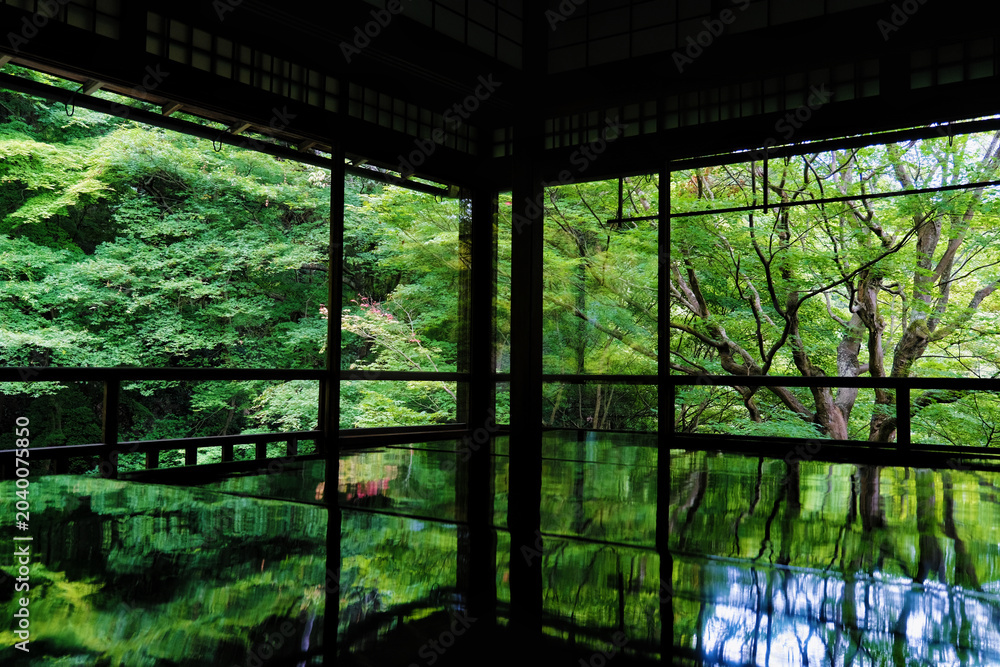 Fototapeta premium Emerald Reflections in a Kyoto Zen Temple