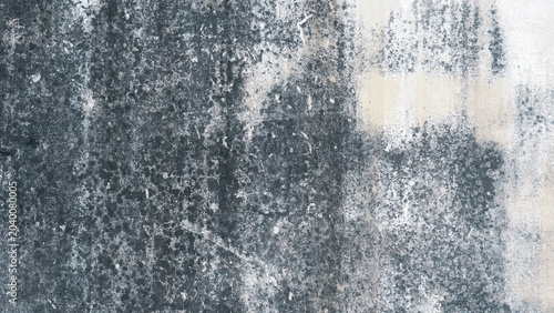 Old weathered concrete wall with black mold and moisture stains texture background.