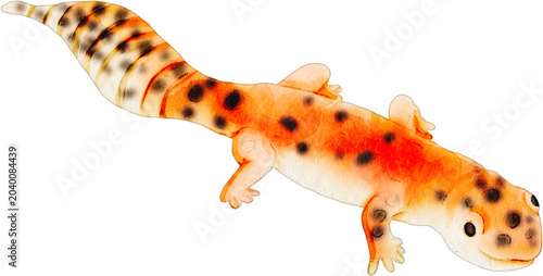 Billede på lærred Watercolor illustration of a spotted leopard gecko isolated