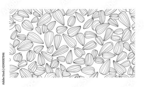 Black and white line pattern of scattered sunflower seeds