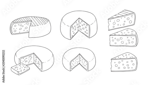 Six hand drawn cheese wheels and slices with holes food dairy white black