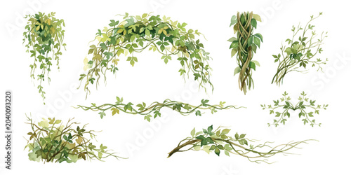 Watercolor set of twisted Cayratia trifolia liana ivy plant bushes, trailing wrapped vines foliage leaves, isolated on transparent background