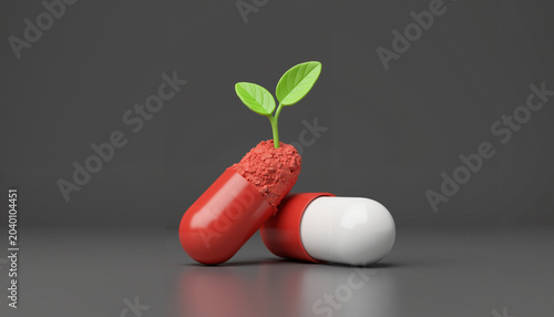Glossy red and white capsule splitting open with a green plant sprouting  