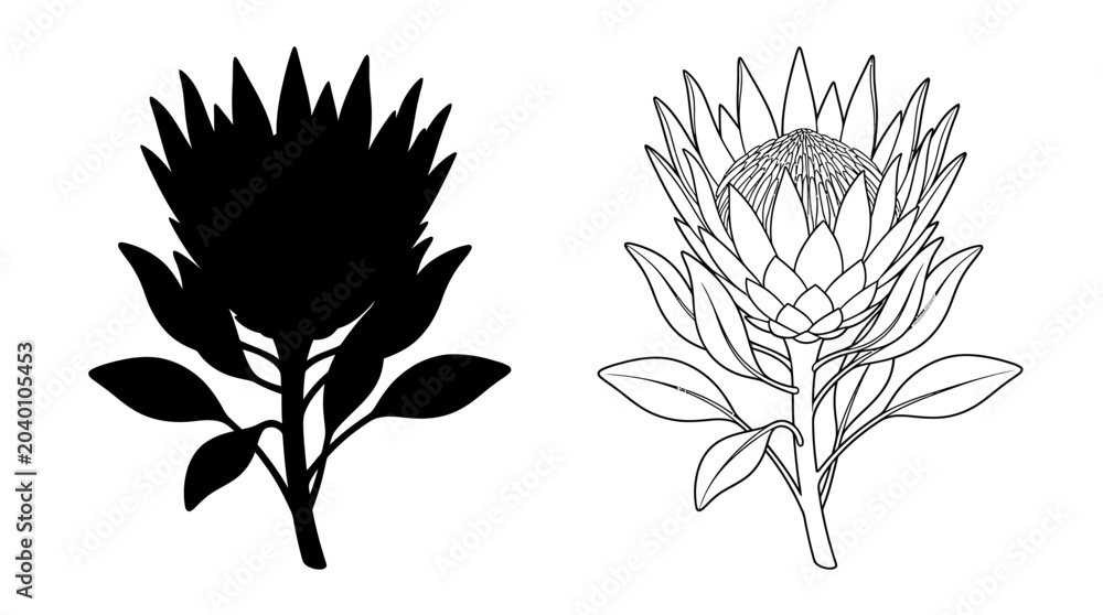 Fototapeta premium flower silhouette and line drawing botanical black