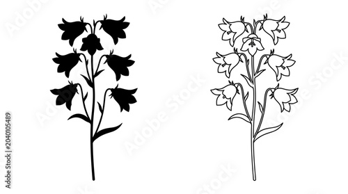 Foto bellflower silhouette and line drawing black white