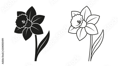 Konstfotografi daffodil flowers in black and white line art
