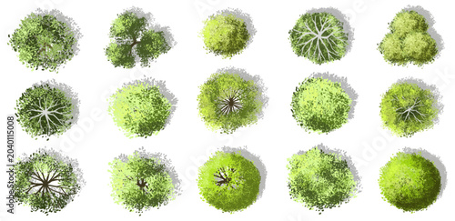 Vector set of Top view green tree for outdoor plan or map and architecture drawing, elements for environment and garden ,botanical elements ,Blooming flowers in spring,tropical plants element