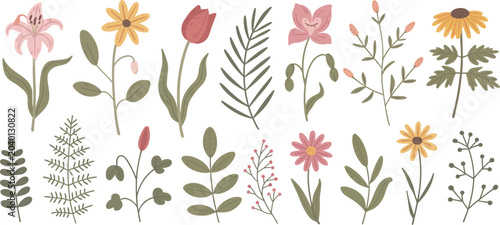 Foto Botanical illustration collection wildflowers leaves and stems in pastel tones