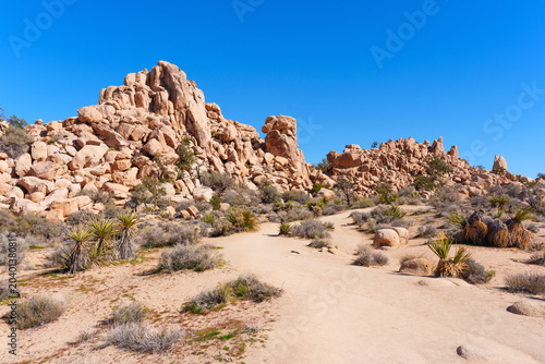 Granite Rock Formations and Desert Landscape in Joshua Tree Park