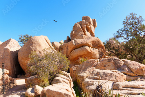 Granite Boulders and Desert Landscape in Joshua Tree California