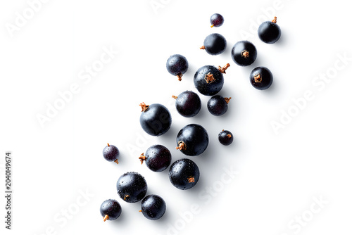 black currant berries on a white background
