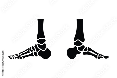 Fotografía Skeletal anatomy vector illustration of human foot bones side view with skeleton