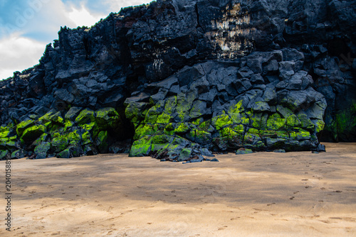 Photos sand and stones with green alga on a beach