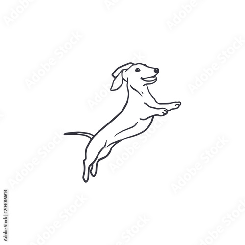 Minimalist line art illustration of a happy jumping dachshund dog. Happy dog in doodle style. Cartoon wiener dog. Dachshund line art illustration. Vector illustration