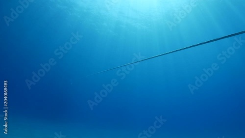 Rope underwater straight no end in space in blue water