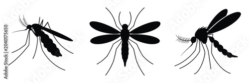 Tableau sur toile Mosquito Silhouettes