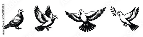 Картината върху платно Set of Dove Illustrations