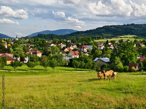 Metylovice village and three horses grazing