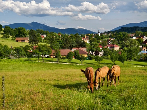 Metylovice village and three horses grazing