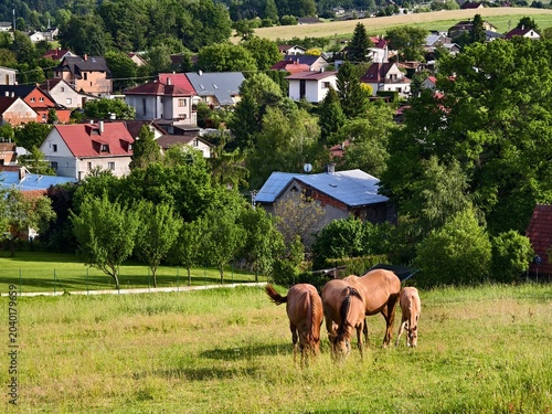 Metylovice village and three horses grazing