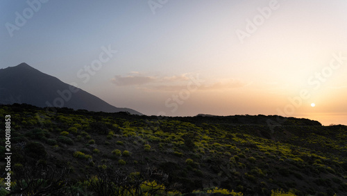 Panoramic view of Mount Teide peak and volcanic slopes covered in green endemic shrubs during a dramatic golden sunset.