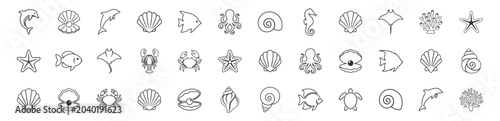Foto collection of marine animal and seashell line icons vector set on transparent ba
