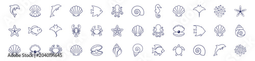 Foto set of marine animals and seashell line icons illustration on transparent backgr