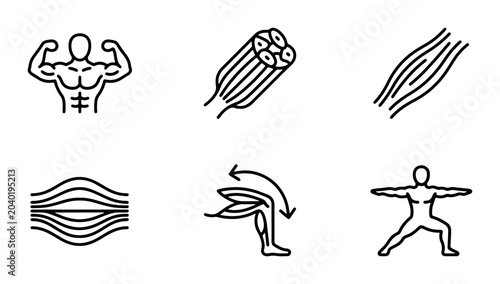 Fotografie Human Anatomy Muscle Icons: Biceps, Tendon, Striated, Flexing Leg, Bodybuilder P