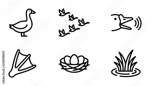 Foto Duck Icons Set, Bird Migration, Nest Eggs, Webbed Foot, Pond Grass, Vector Graph