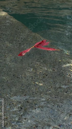 Tracking slow motion shot of red leaf drifting across clear shallow riverbed with scattered pebbles and rippled water