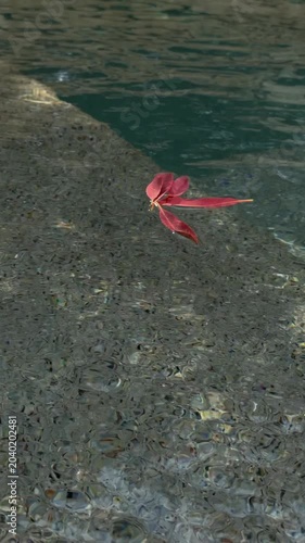 Slow motion tracking shot of red leaf drifting across clear shallow water above pebble shoreline