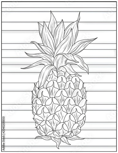 Photos Summer Coloring Pages, Easy & Fun Art Free Time Activity, Back to School