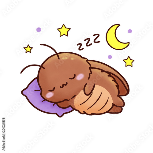 Photography Sleeping Cockroach with Moon Sticker