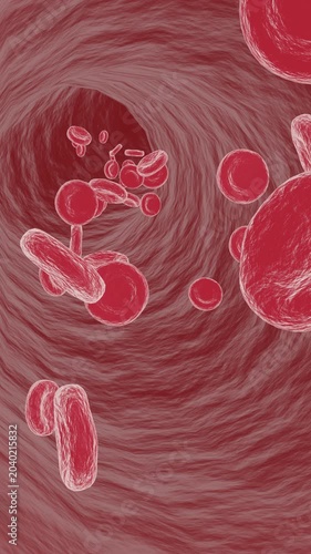 Vertical Video – Red Blood Cells Moving Inside Artery – Erythrocytes Flow in Human Circulatory System, Seamless Loop 3D Animation