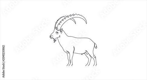 Fotografi Detailed Line Drawing of an Ibex with Majestic Curved Horns.