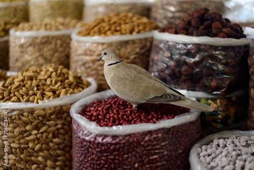 Pigeon Sitting on Shelled Peanuts at a Market Stall at the Siyob Bazaar in Samarkand, Uzbekistan