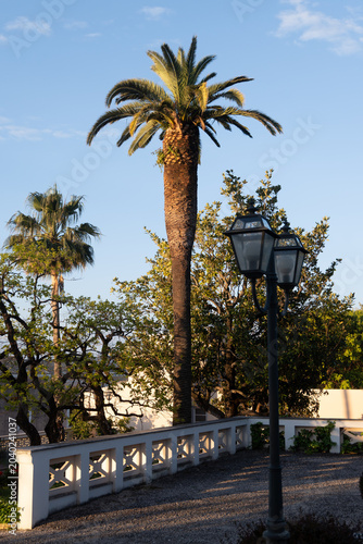 Obraz na plátne Green gardens with palm and citrus trees on seaside shore between Gaeta and Form