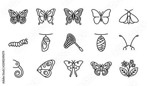 Fotografie Butterfly Life Cycle Vector Icons, Insect Metamorphosis Set, Nature Elements Col