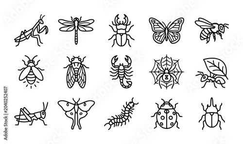 Bild auf Leinwand Insect Icons Set, Vector Graphics Collection: Bugs, Beetles, Butterflies, Spider