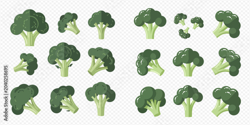 Tableau sur toile Set of fresh green broccoli florets and heads, healthy vegetable collection