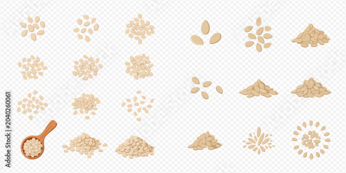 Foto Set of various sesame seeds, piles, and wooden spoon on transparent background